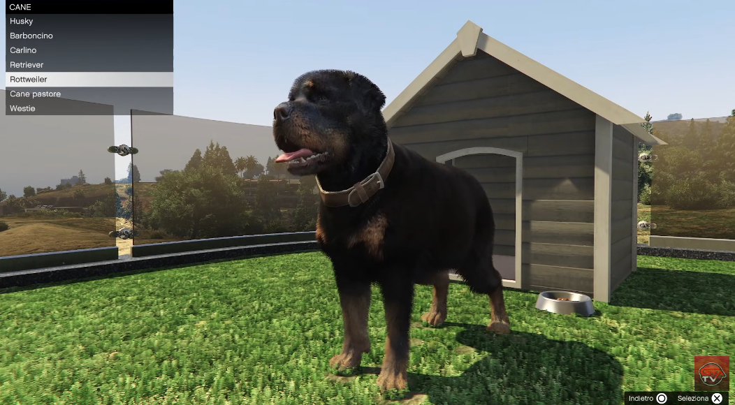 Come Comprare Cane e Gatto Su GTA ONLINE Nel Nuovo DLC Ville